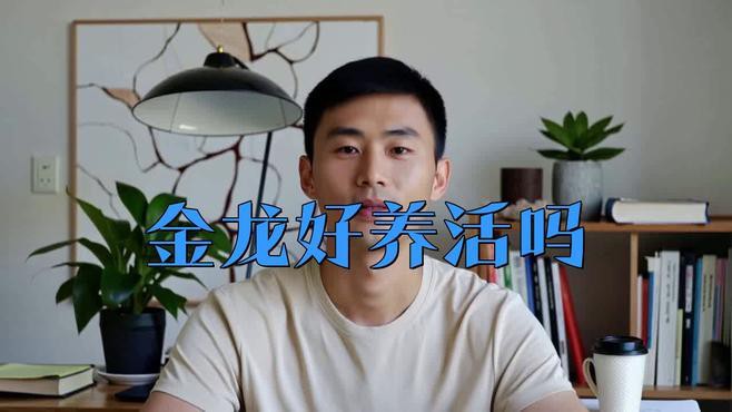 小型金龍魚多大 小型金龍魚多大 龍魚百科 第4張