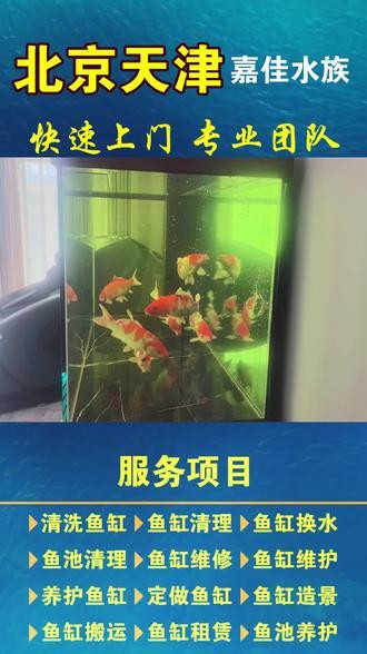 珠海上門護理清洗魚缸 龍魚世家水族館誠信 珠海上門護理清洗魚缸 龍魚世家水族館誠信 龍魚百科 第2張