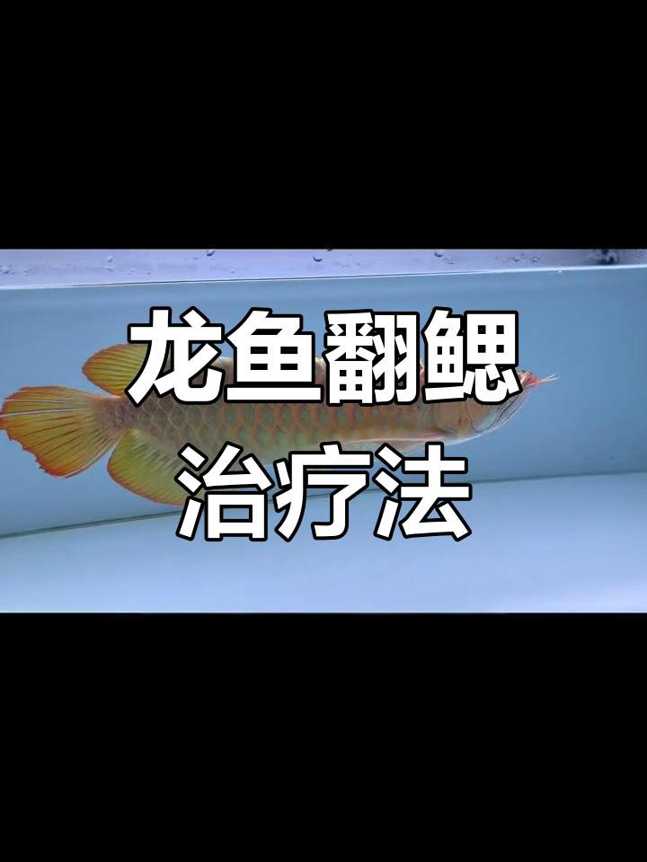 龍魚(yú)翻腮手術(shù)后多久能恢復(fù)？