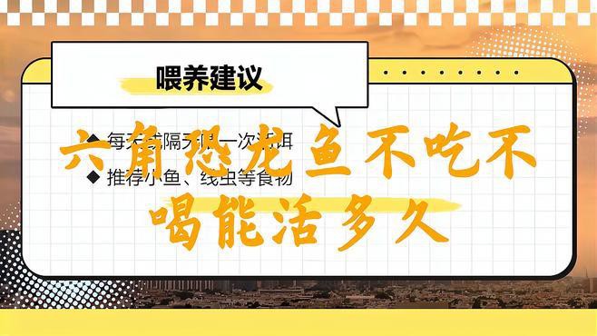 恐龍魚可以多久不吃東西會餓死