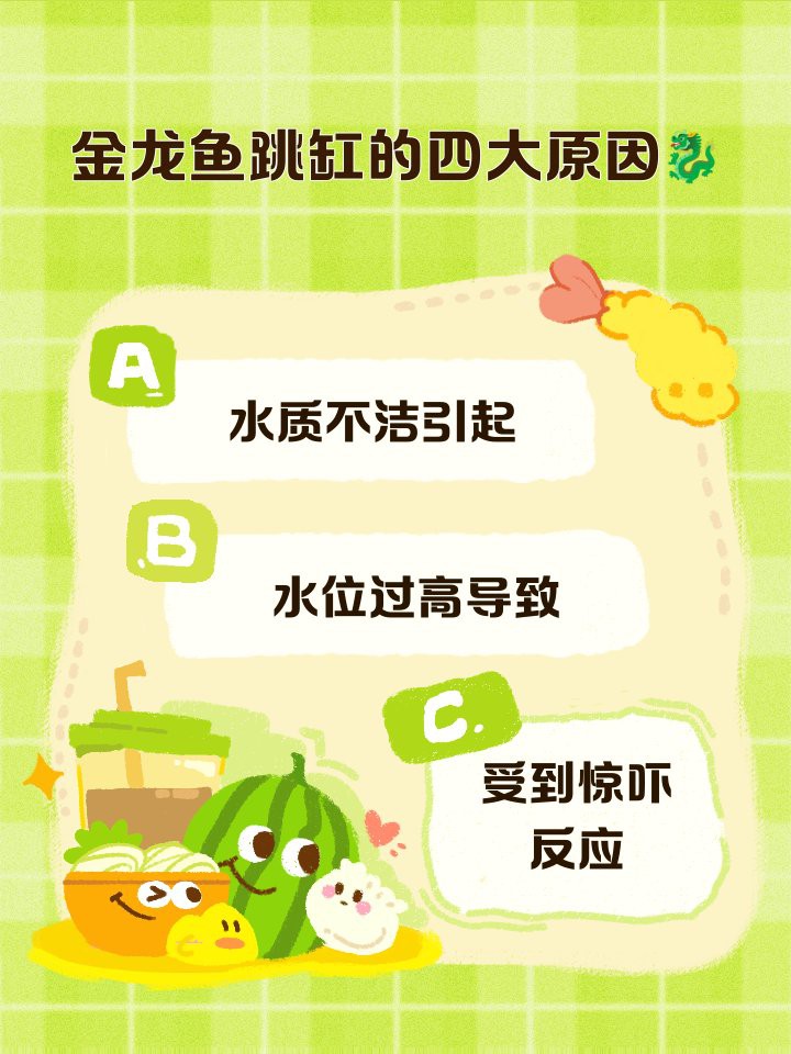 金龍魚翹尾怎么辦啊視頻