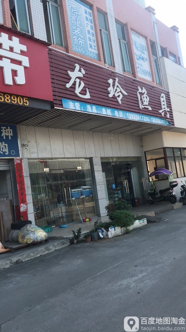 深圳哪里有賣雷龍魚的