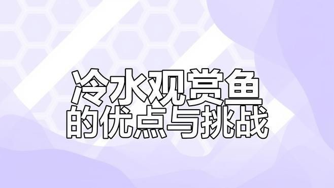 冷水觀賞魚種類介紹