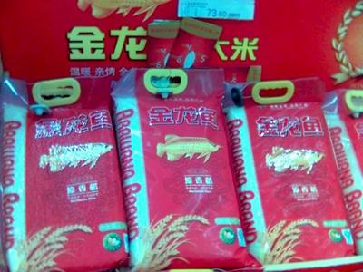 紅龍魚背景什么顏色好看又好養呢視頻（紅龍魚背景什么顏色好看又好養呢視頻講解）