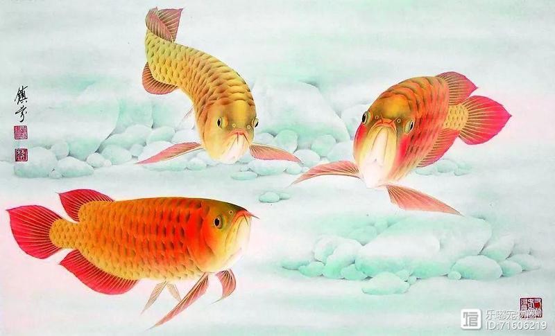 龍魚和關刀魚