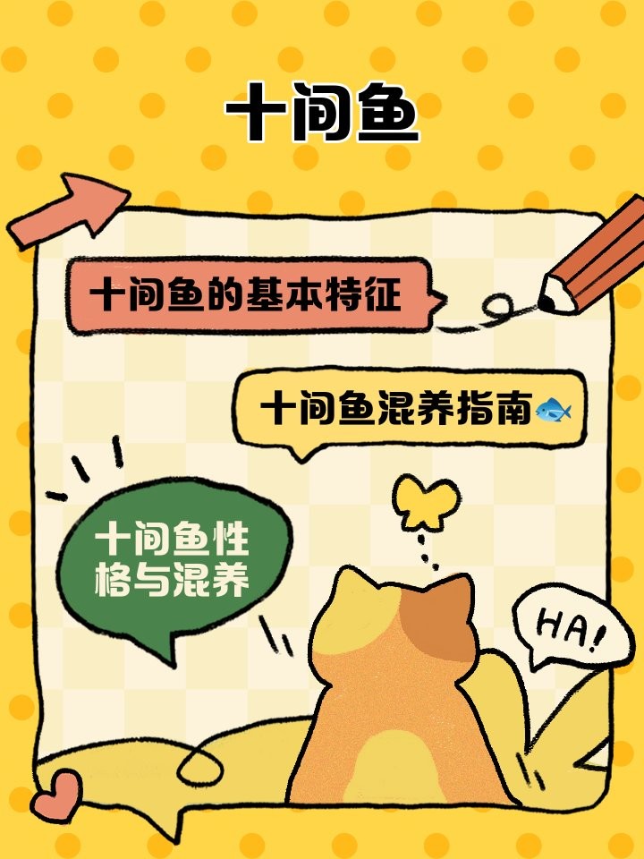非洲十間魚和金龍魚能混養嗎