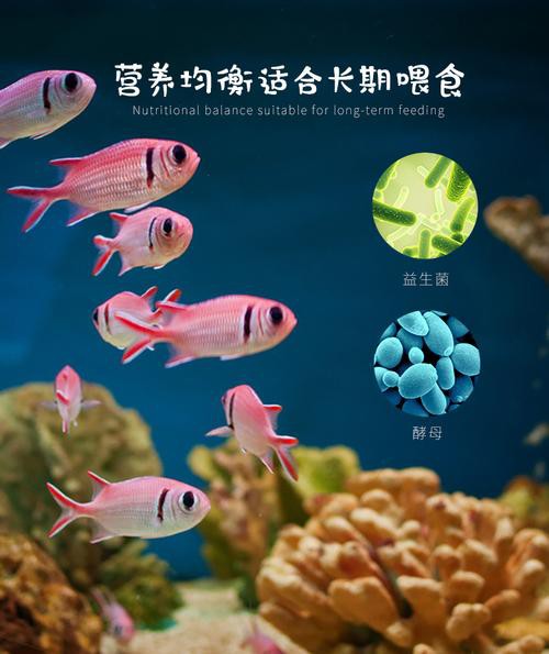 推薦一些適合過(guò)背金龍的蝦紅素品牌