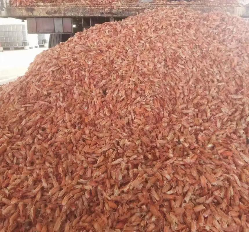 推薦一些適合過(guò)背金龍的蝦紅素品牌