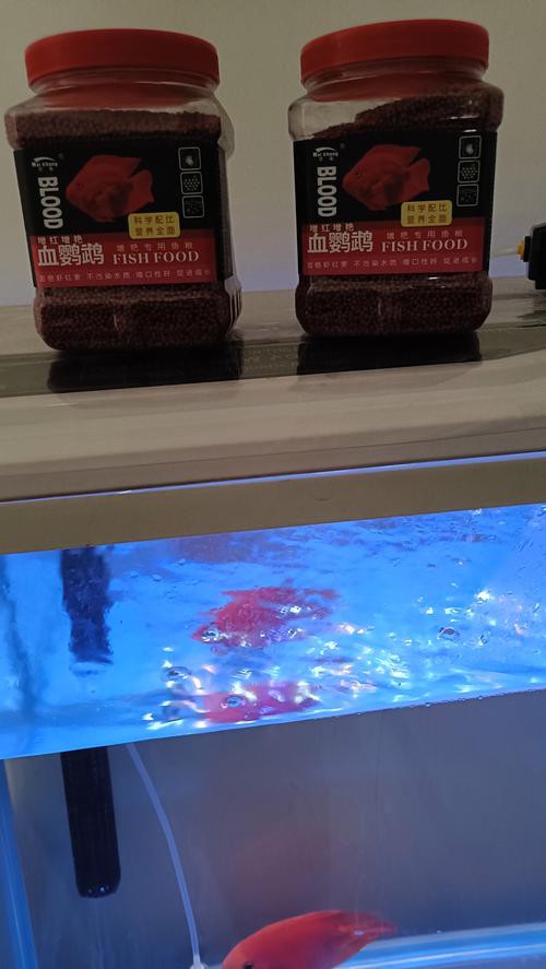 推薦一些適合過(guò)背金龍的蝦紅素品牌