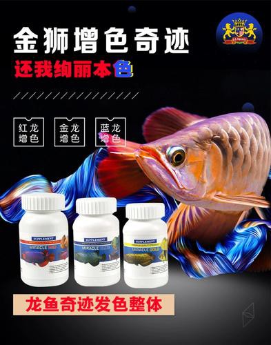 哪些增色飼料對金龍魚發色最好？