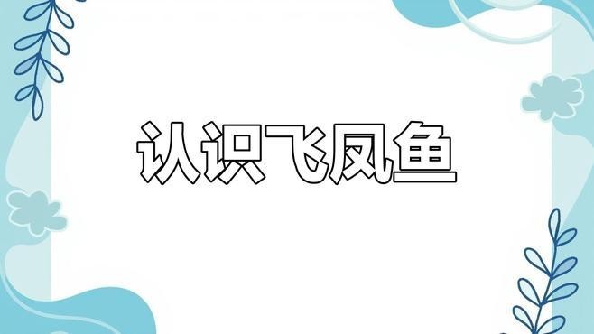 飛鳳魚有哪些品種？