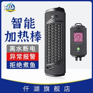 單條龍魚能生蛋嘛怎么養(yǎng)的
