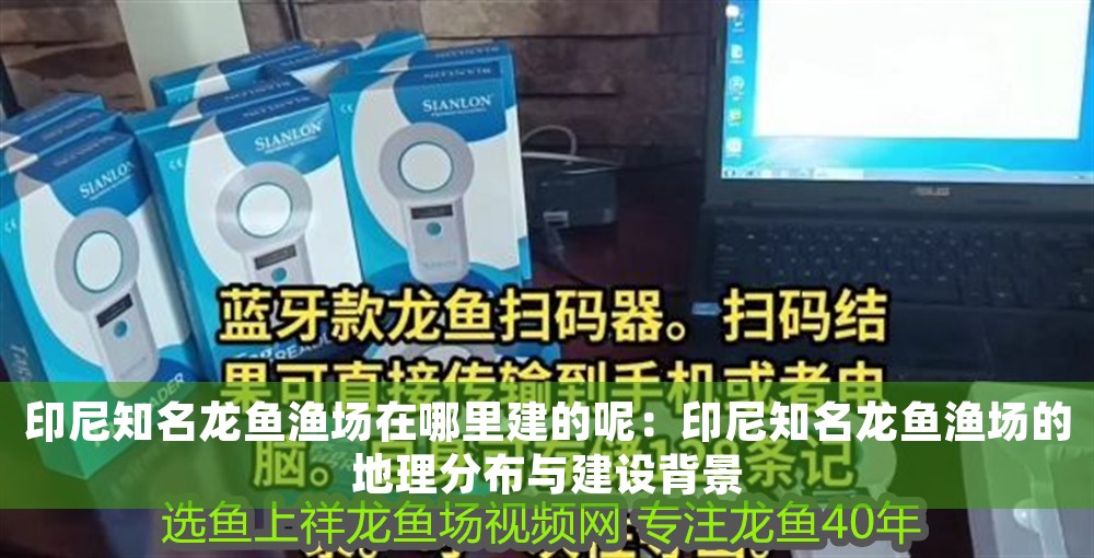 印尼知名龍魚漁場在哪里建的呢：印尼知名龍魚漁場的地理分布與建設背景