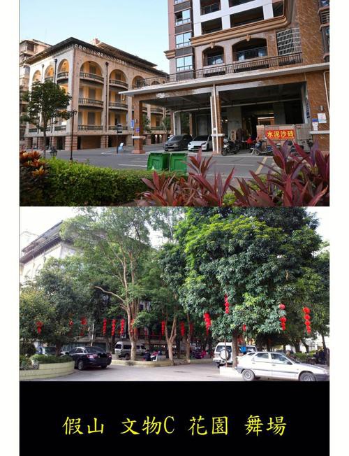 梧州龍魚轉盤斷頭路 梧州龍魚轉盤斷頭路 龍魚百科 第4張