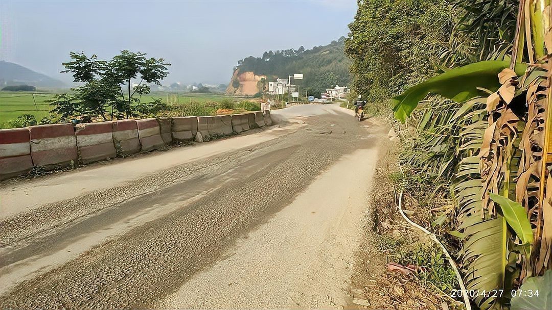梧州龍魚轉盤斷頭路 梧州龍魚轉盤斷頭路 龍魚百科 第8張