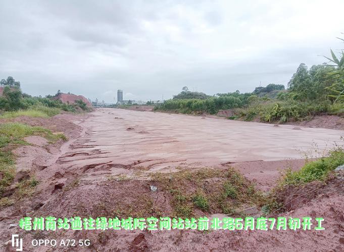 梧州龍魚轉盤斷頭路 梧州龍魚轉盤斷頭路 龍魚百科 第2張