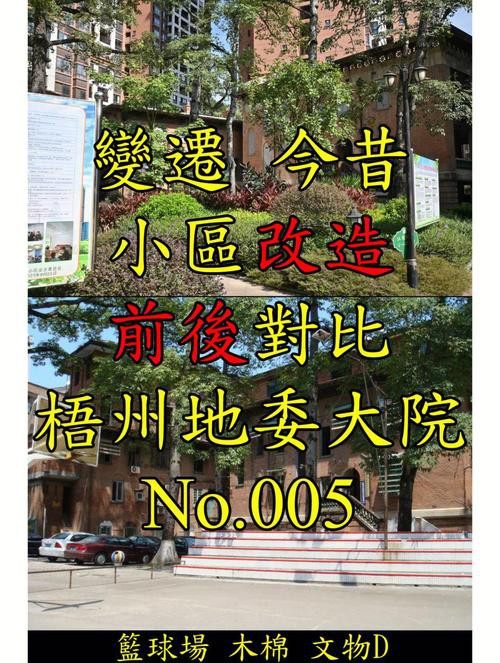 梧州龍魚轉盤斷頭路 梧州龍魚轉盤斷頭路 龍魚百科 第5張