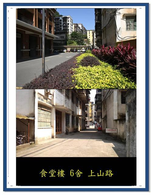 梧州龍魚轉盤斷頭路 梧州龍魚轉盤斷頭路 龍魚百科 第3張