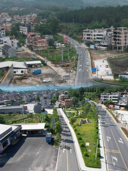 梧州龍魚轉盤斷頭路 梧州龍魚轉盤斷頭路 龍魚百科 第6張