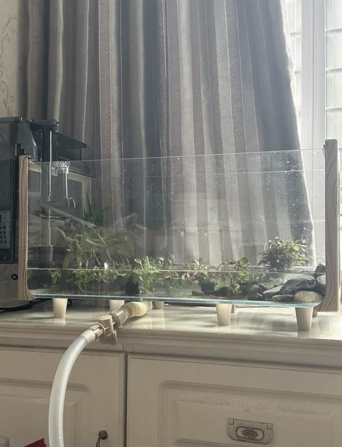 東海龍宮御龍魚缸圖片高清版