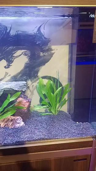 東海龍宮御龍魚缸圖片高清版