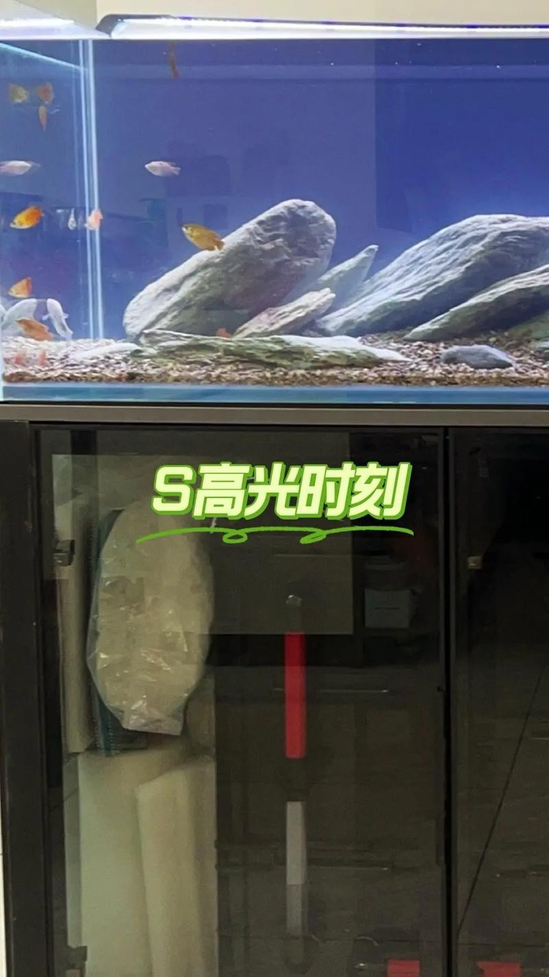 東海龍宮御龍魚缸圖片高清版