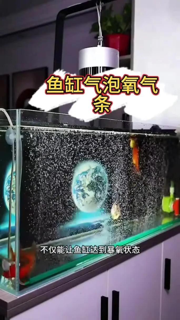 東海龍宮御龍魚缸圖片高清版