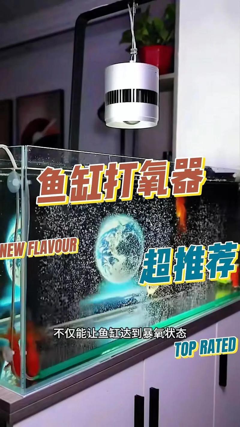 東海龍宮御龍魚缸圖片高清版