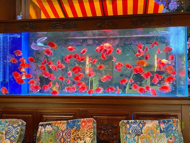 東海龍宮御龍魚缸圖片高清版