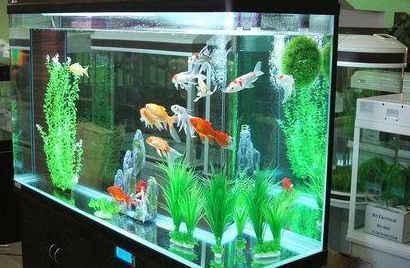 魚缸一般多少天換一次水，魚缸換水的頻率并沒有統(tǒng)一的標準，