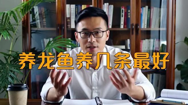 龍魚(yú)養(yǎng)幾條風(fēng)水最好