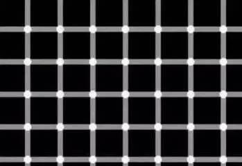 紅龍魚(yú)身上有白點(diǎn)怎么辦（紅龍魚(yú)身上出現(xiàn)白點(diǎn)可能是由多種原因引起的）