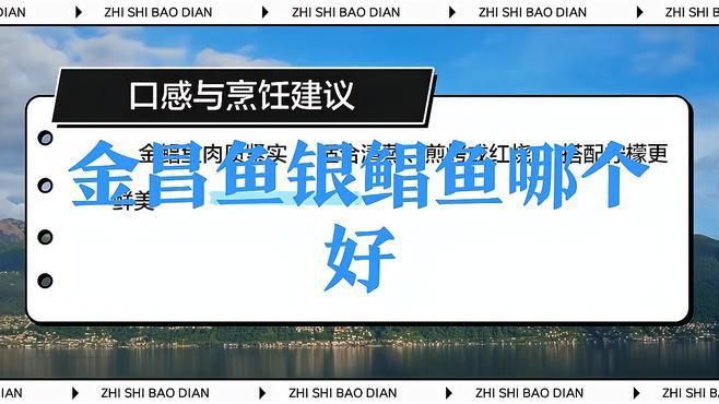 金鯧魚和銀鯧魚有什么區別 金鯧魚和銀鯧魚有什么區別 龍魚百科 第9張