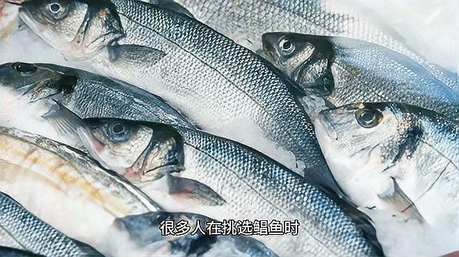 金鯧魚和銀鯧魚有什么區別 金鯧魚和銀鯧魚有什么區別 龍魚百科 第7張