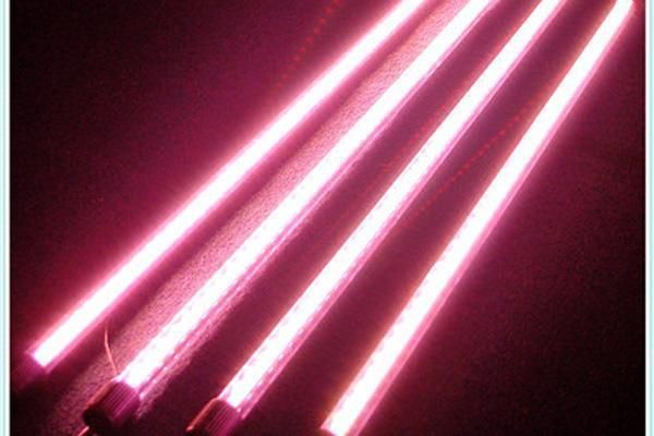 龍魚的顏色和燈光有關(guān)系嗎視頻：探討龍魚顏色與其燈光之間的關(guān)系時，我們首先要明白