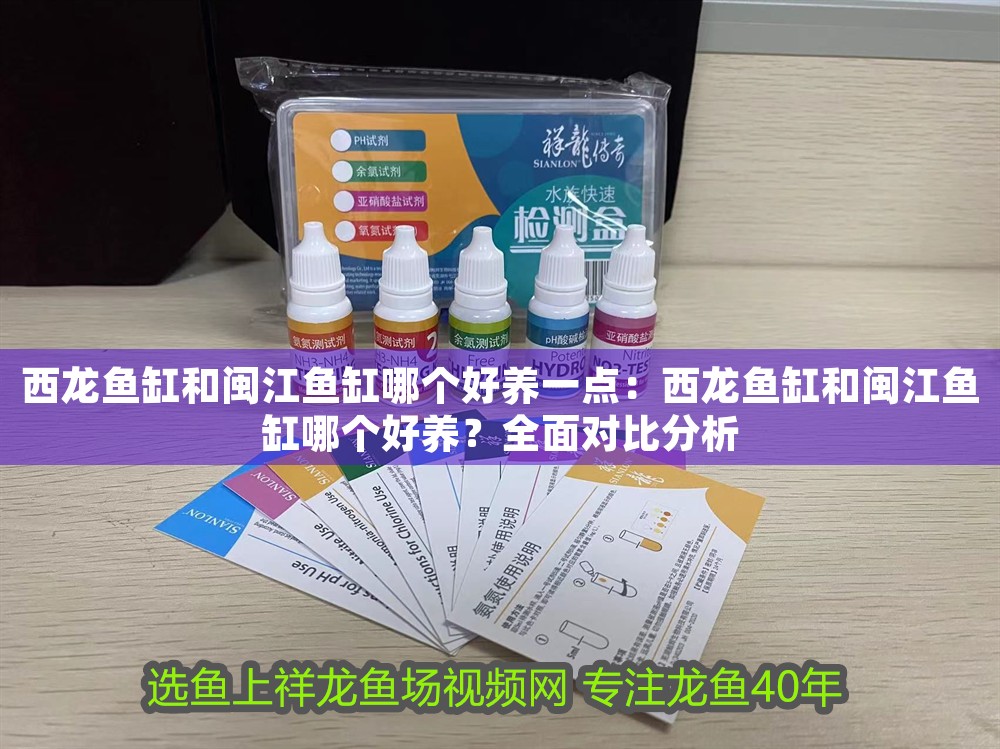西龍魚缸和閩江魚缸哪個好養一點：西龍魚缸和閩江魚缸哪個好養？全面對比分析