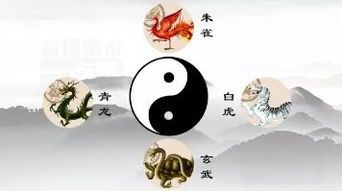 《風水青龍》的簡介是什么？ 《風水青龍》的簡介是什么？ 龍魚百科 第1張