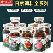 雷龍魚供應商 雷龍魚供應商 龍魚百科 第6張