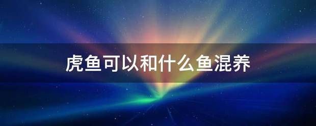 飛鳳魚疾病早期癥狀，飛鳳魚可能患有的疾病包括白點病、外傷、烏頭瘟等疾病