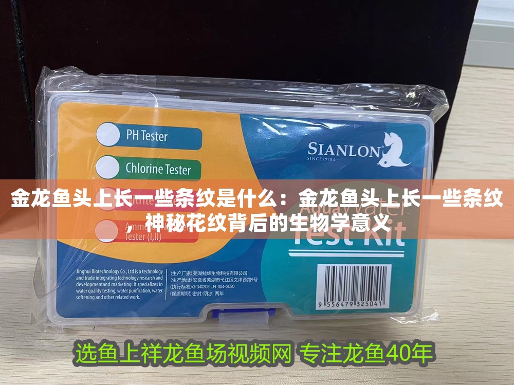 金龍魚頭上長一些條紋是什么：金龍魚頭上長一些條紋，神秘花紋背后的生物學意義