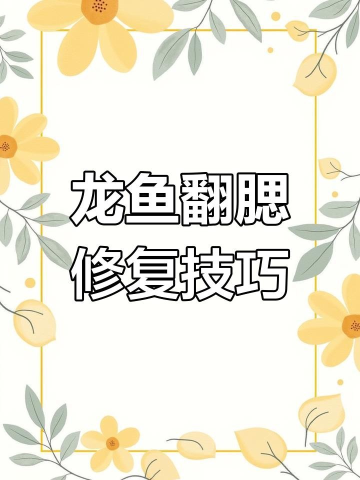 龍魚鰓蓋破損后如何處理？