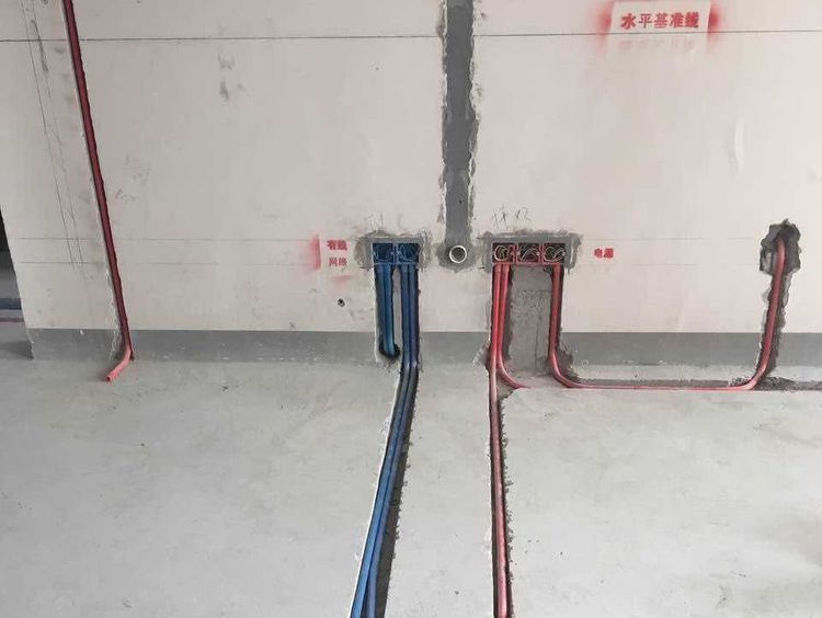 養(yǎng)龍魚的微信群名字怎么取的：如何為養(yǎng)龍魚的微信群取一個(gè)吸引人的名字