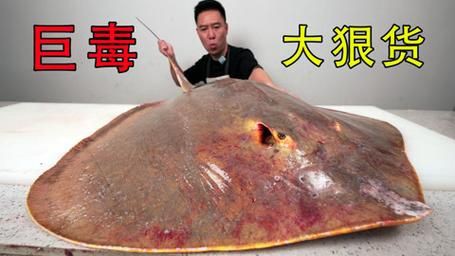 魔鬼魚長啥樣圖片