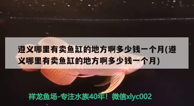 遵義哪里有賣魚缸的地方啊多少錢一個月(遵義哪里有賣魚缸的地方啊多少錢一個月)