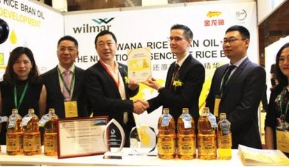 陳波金龍魚（金龍魚品牌營銷掌門人陳波揭秘金龍魚品牌營銷掌門人陳波） 陳波金龍魚（金龍魚品牌營銷掌門人陳波揭秘金龍魚品牌營銷掌門人陳波） 龍魚百科 第2張