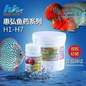 龍魚起白點(diǎn)用什么藥好得快：龍魚起白點(diǎn)怎么治療