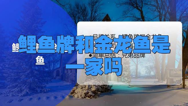 金龍魚有哪些產(chǎn)品線？