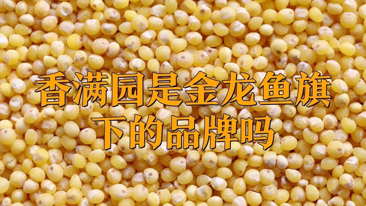 金龍魚有哪些產(chǎn)品線？