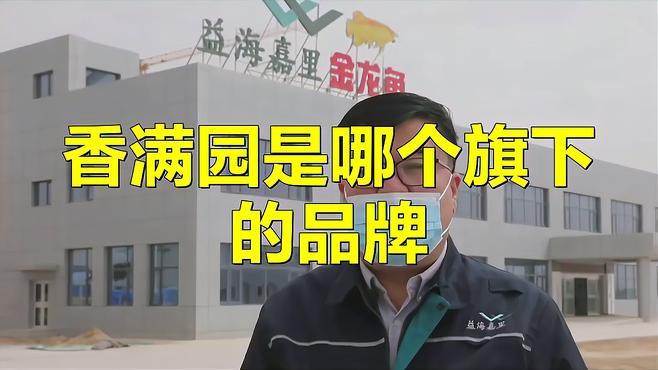 金龍魚有哪些產(chǎn)品線？