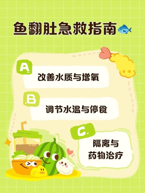 銀龍魚翻肚皮 龍魚百科 第5張 銀龍魚翻肚皮 銀龍魚翻肚皮 龍魚百科 第5張